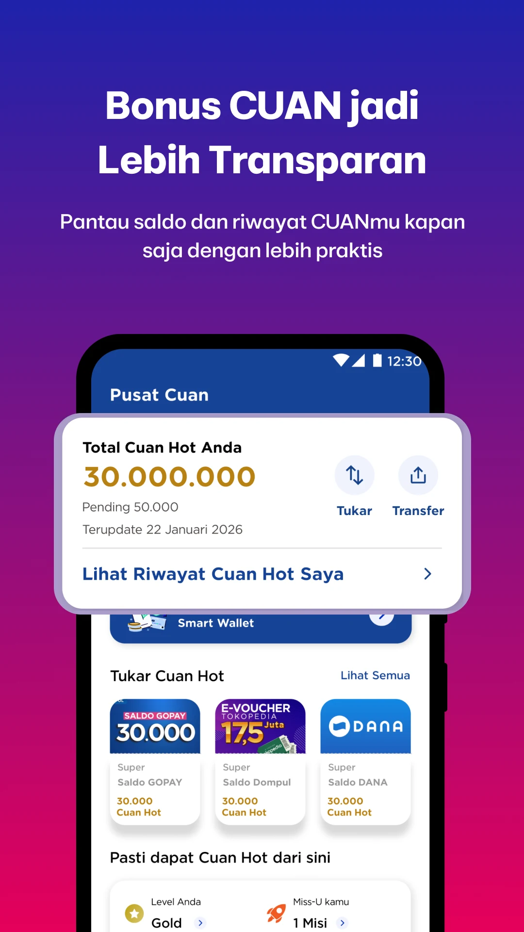 SiDIVA screenshot